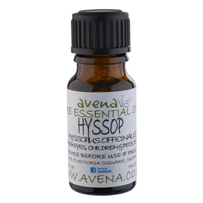 Hyssop Essential Oil (Hyssopus officinalis)